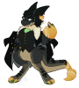 Broken image link